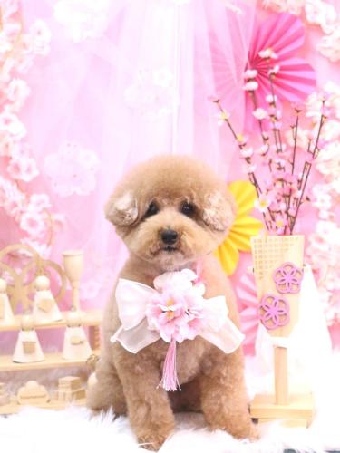 20250301かんたくん